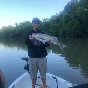 Meet your Posher, Christopher